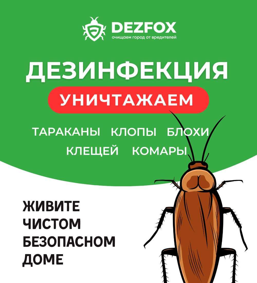 Дезинсекция Дезинфекция Уничтожение Клопов Тараканов Муравьев Вши -  Дезинфекция помещений Арысь на Olx