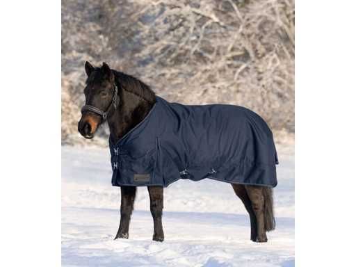 Paturi pentru cai de vanzare calarie echitatie