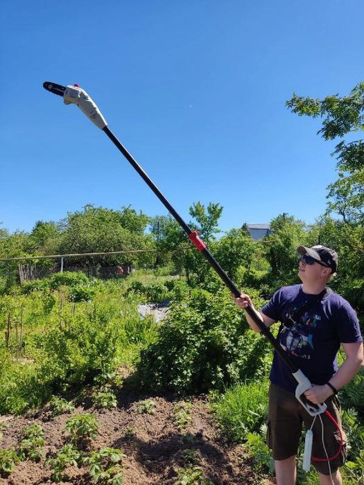 Обрезка плодовых деревьев