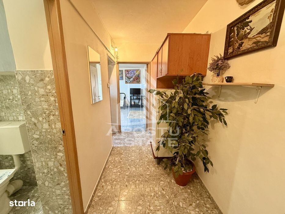 Apartament 1 camera de vanzare, zona Lunei, Timisoara