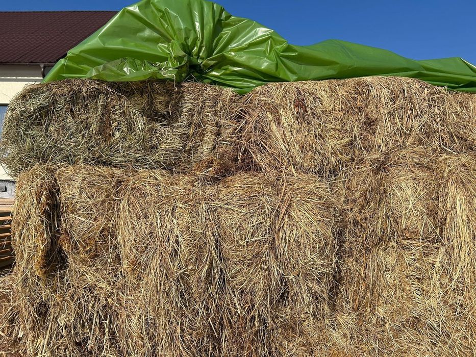 Baloți de fân dreptunghiulari