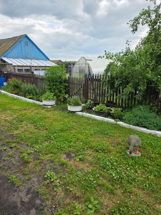 Продам дом в селе Асаново