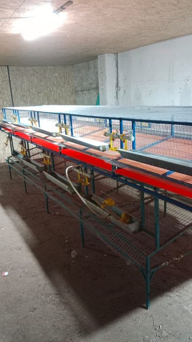 Инкубаторға, брудера, клетки.