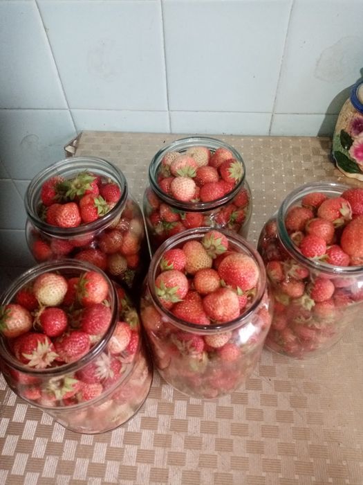 Продаю клубнику дачу
