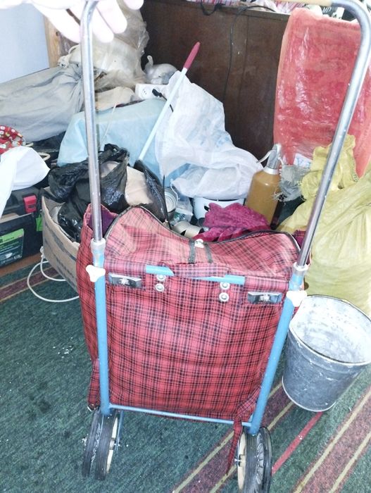 Продам сумку тележку.