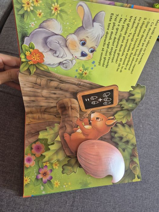 Carte editura Crisan