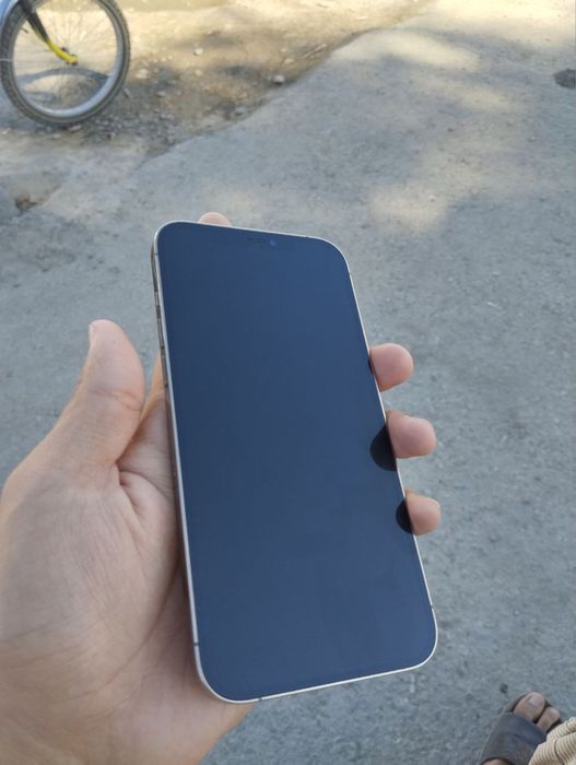 iPhone 12 Pro Max