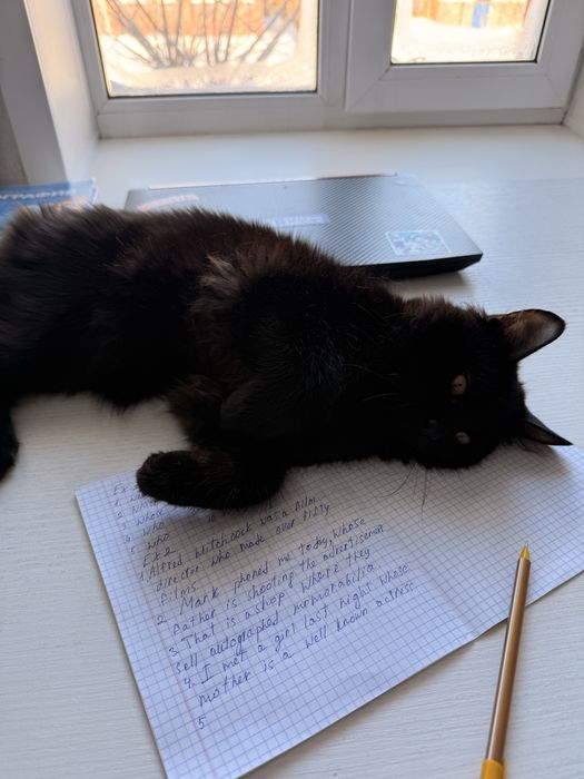 Черный кот бесплатно