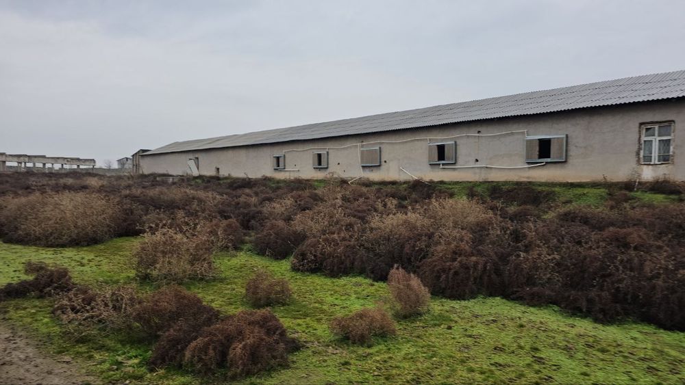 Продается земля под производство или же под фермерства