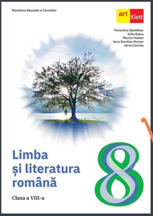Meditații limba și literatura română