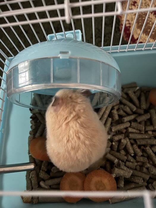 Sssssssssssssssssssss