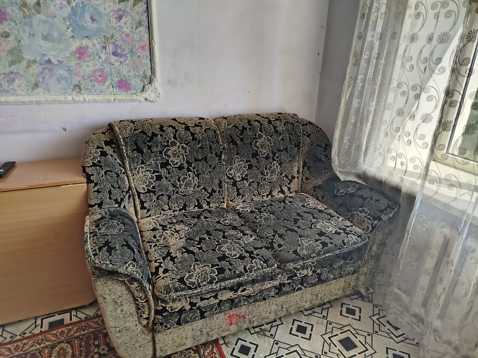 Отдам даром, Самовывоз, срочно