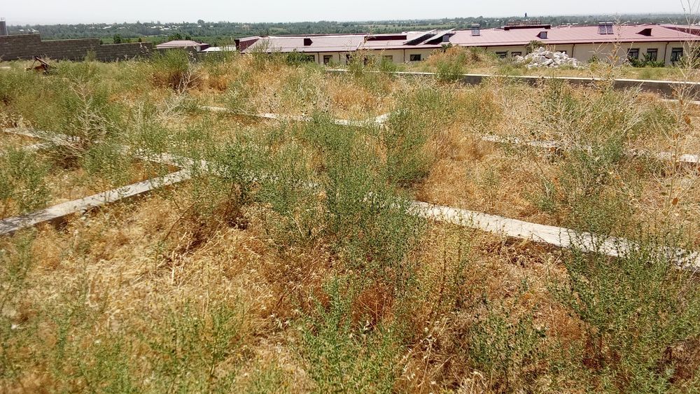 Уй сотилади бетон куйилган атрофи уралмаган