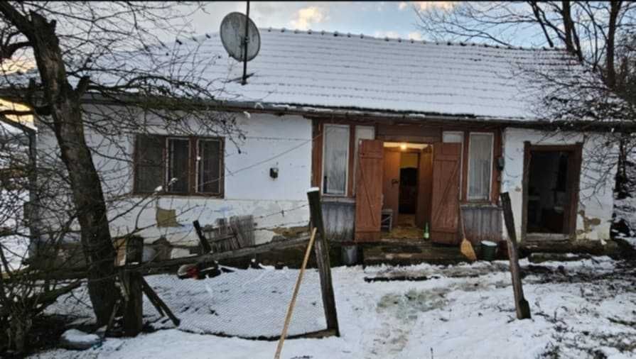 Casa la tara cu cabana in curte