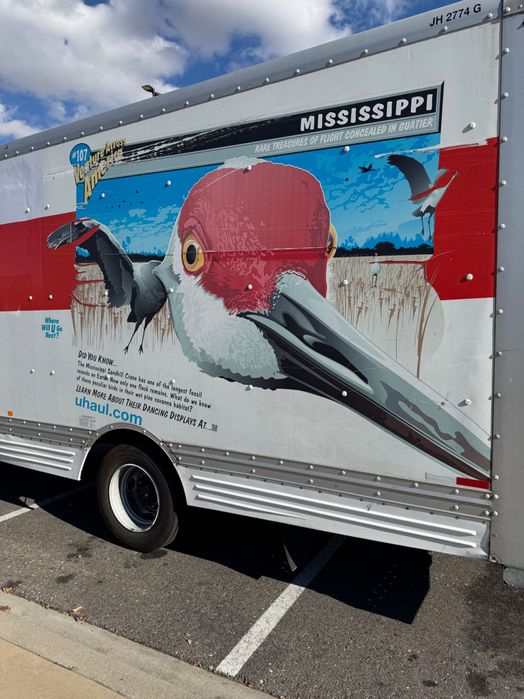 «Samsonite” премиум комплект из 2х элитных чемоданов продается недорог