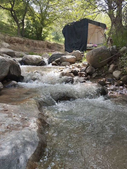 Yashil tabiatga sayohat (mayofka) xizmati