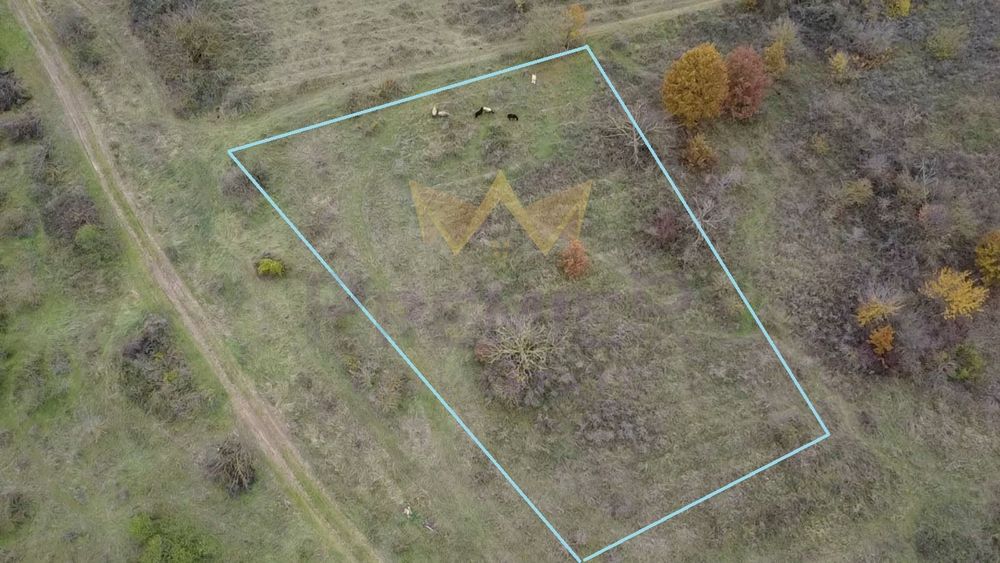 Продава се Парцел в с. Константиново, Област Варна - 2000 кв.м за 4 €/кв.м - Снимка #2