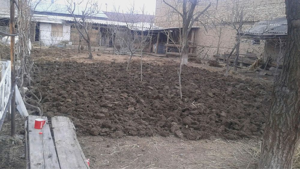 Selxoz Universiteti ro‘parasida