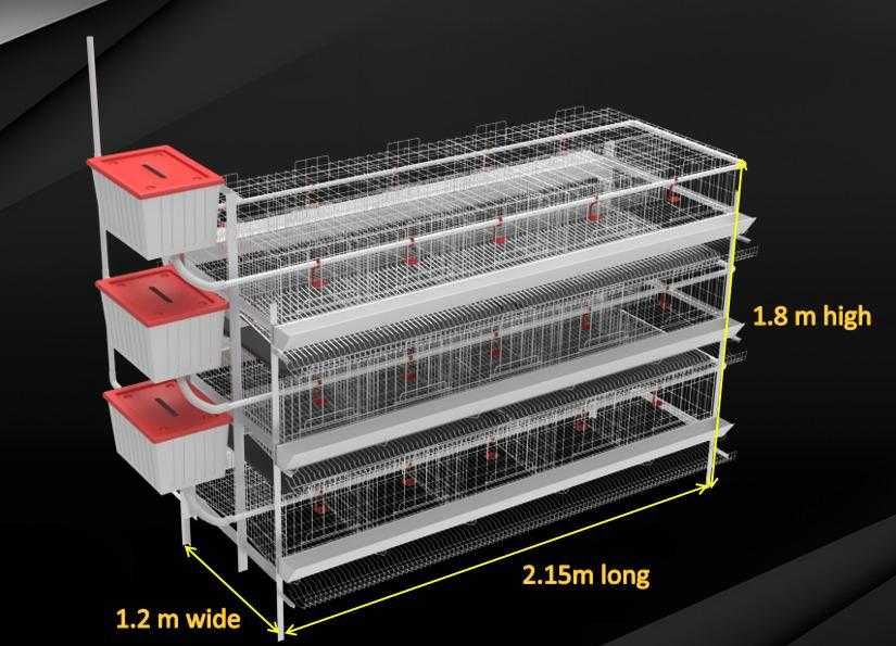 клетки для кур несушек