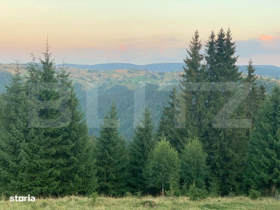 Teren intravilan, front la strada, 3321mp, utilitati, Marisel