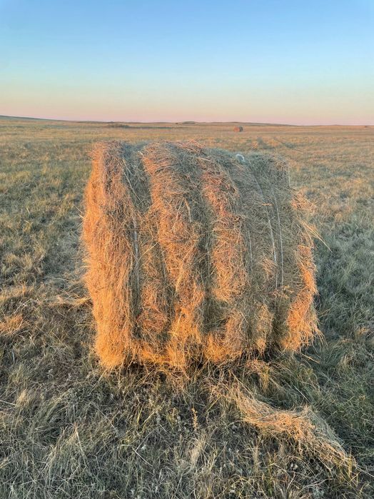 Сено в рулонах в черте города