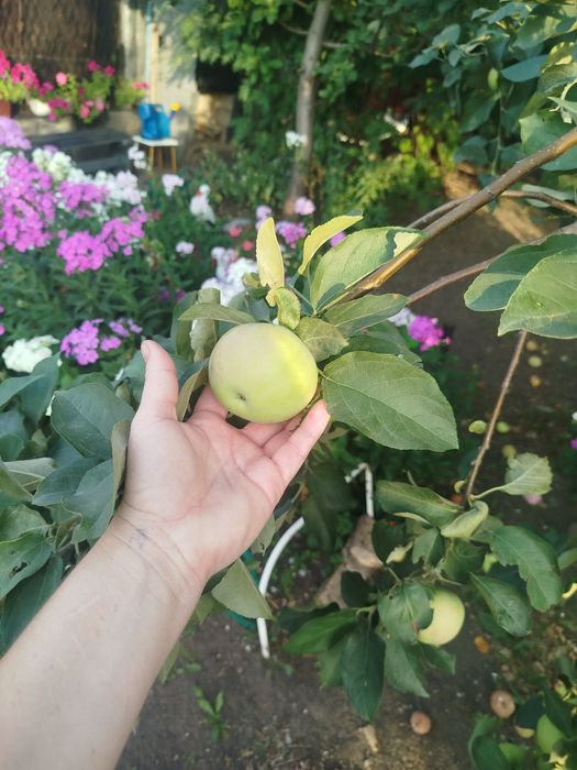 Продам срочно дом