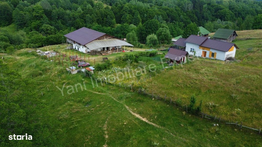 Fermă de animale + teren de vânzare în comuna Bughea de Jos, Argeș.