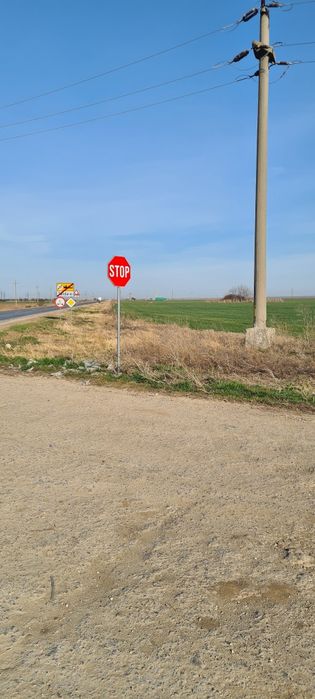 Teren intravilan 8000 mp