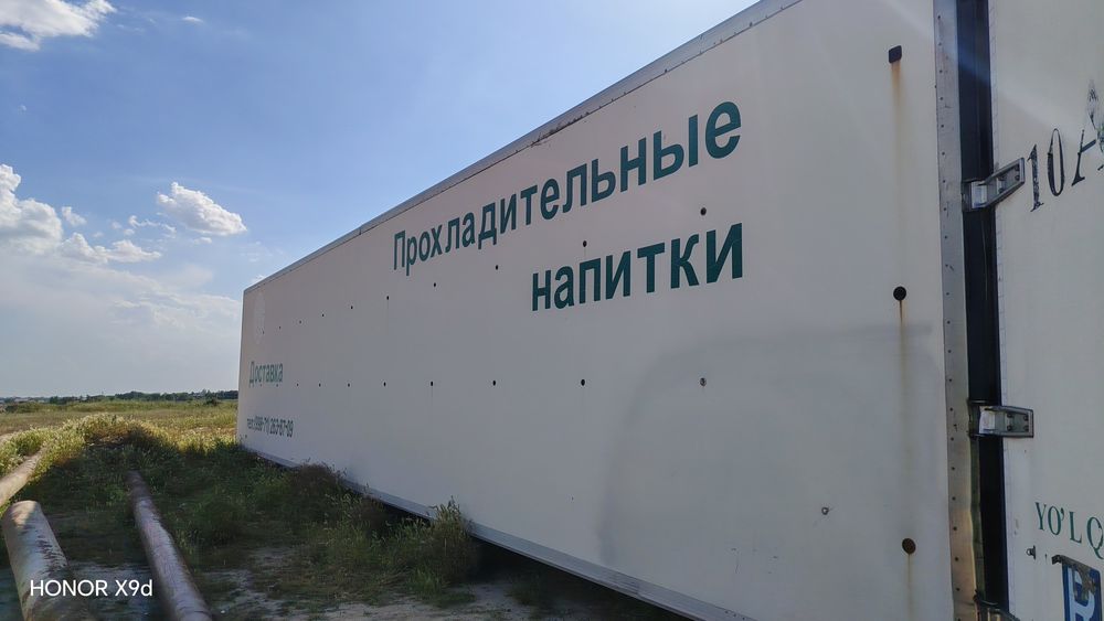 Tayor refrjatl kuzuf sotladi