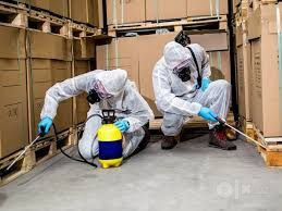 Дезинфекция Дезинсекция Дератизация