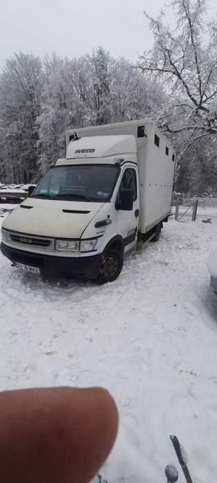 Autoutilitară transport animale