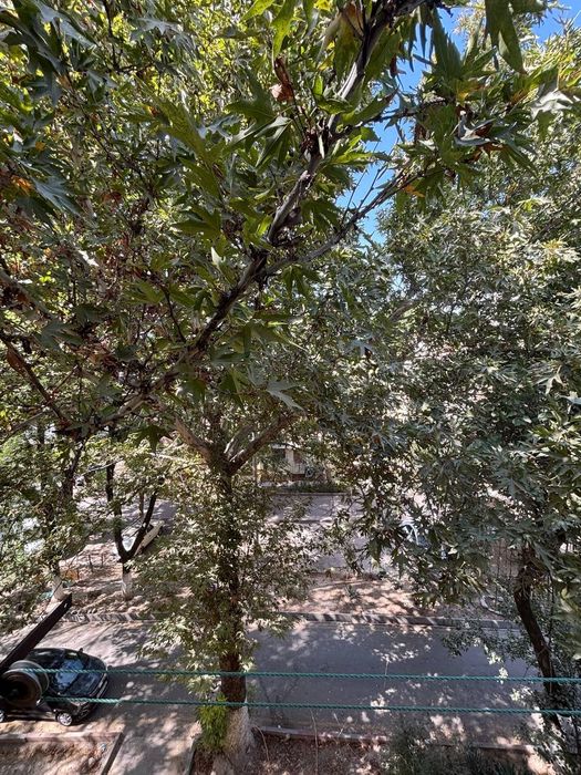 Уй сотилади Мирзо Улугбек туманида Феруза мавзеси