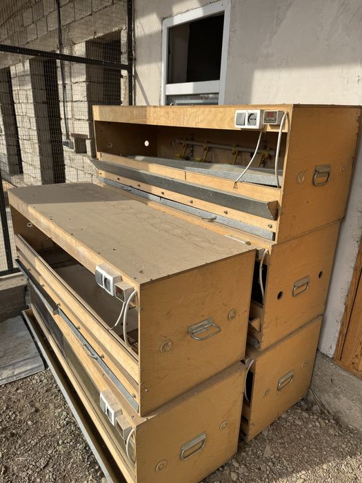 Клетки для перепелов