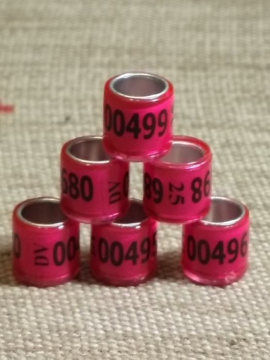 Пожизнени пръстени  2026 г. за гълъби,папагали и други видове птици