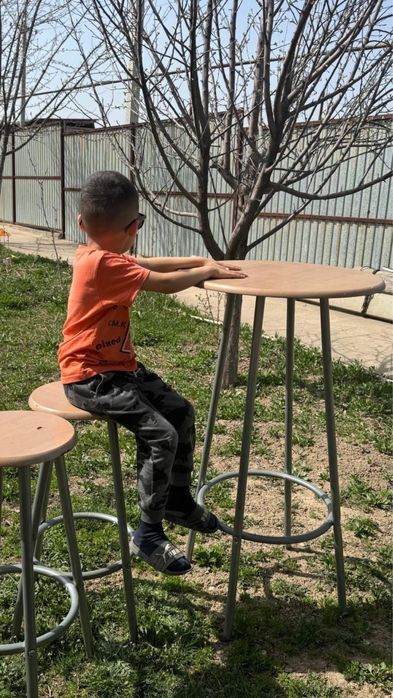 Стол и стулья , стулья стол