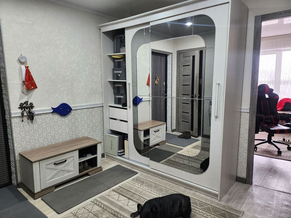 Шкаф-Купе в прихожую