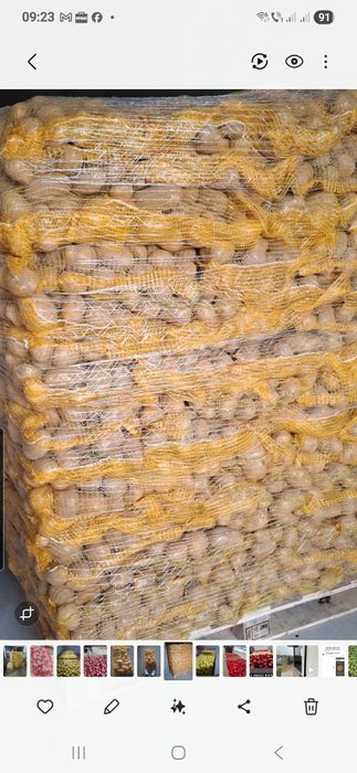 Cartof alb si rosu cu miezul galben