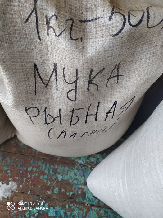 Продам кукуруза 180тг/кг