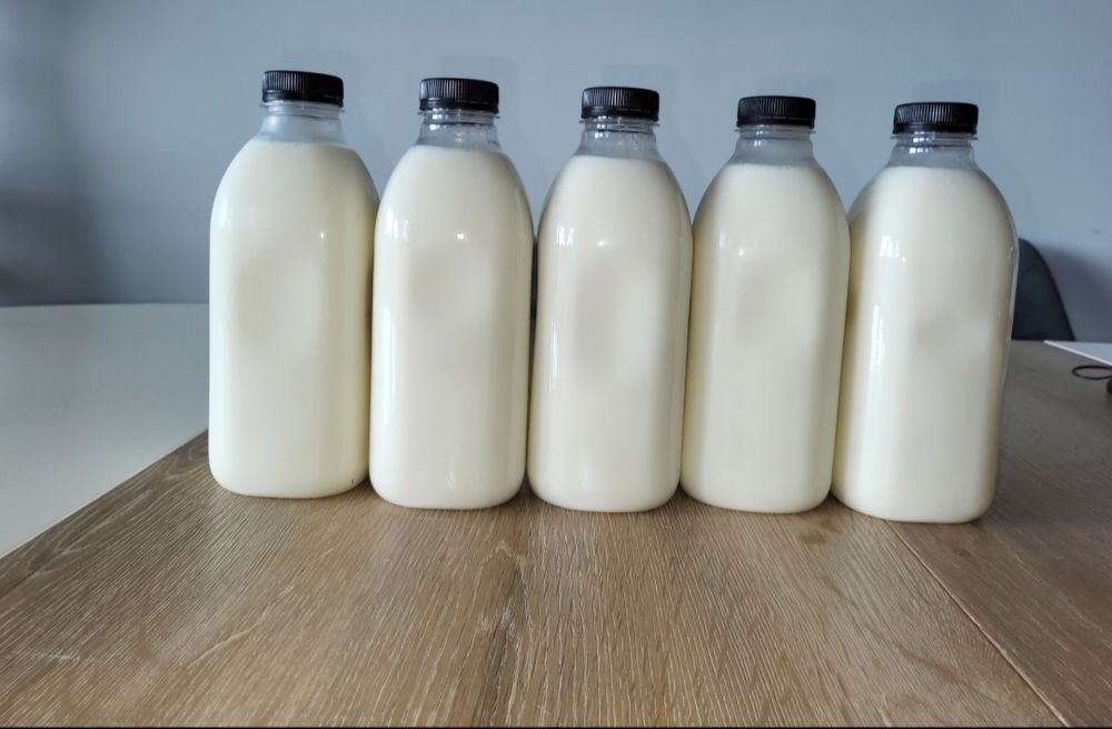 Lapte de capra disponibil in sticle de unica folosinta - 10 lei /litru