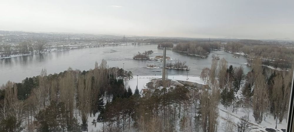 Сдам квартиру на стрелке, хозяин.