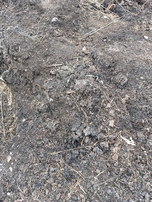 Перегной. Бесплатно. Самовывоз.