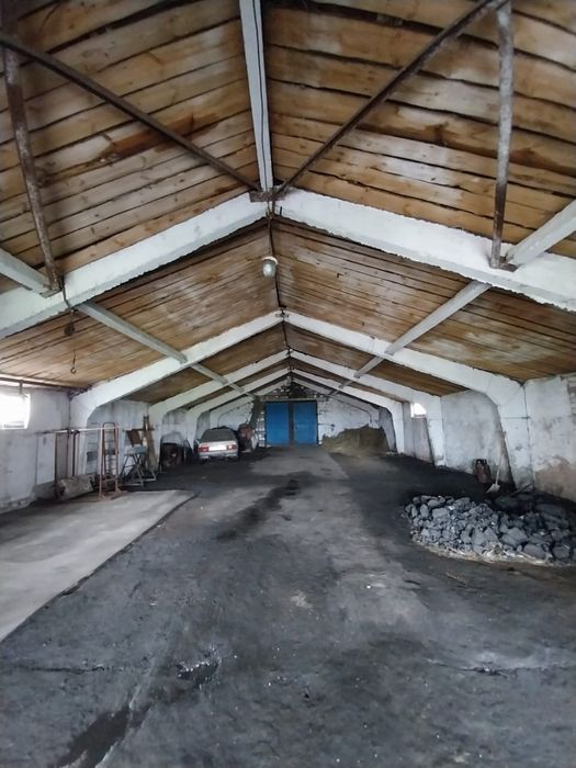 Животноводческое хозяйство