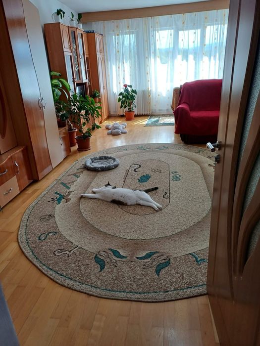 Apartament 2 camere, 73 mp, Caransebeș