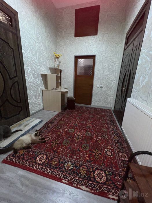 OXU ga yaqin Uchastka Student qizlarga ijaraga beriladi agenstva yo’q