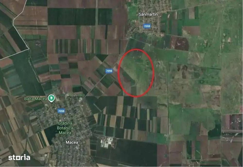 Pasune de vanzare in suprafata de 424700mp , loc. Macea jud Arad