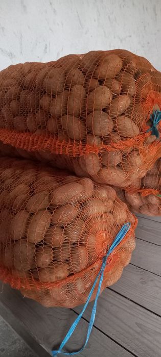 Cartofi samanta calitatea 1 ,roz și albi