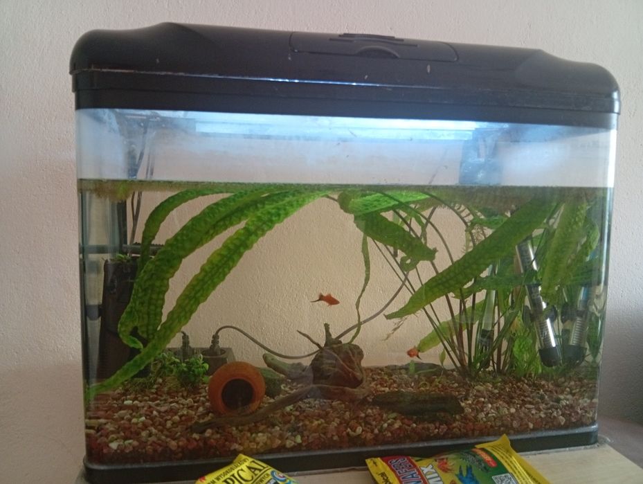 Аквариум  напълно обурудван