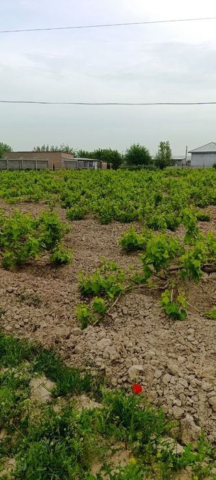 Учаска 20сотик+20сотик