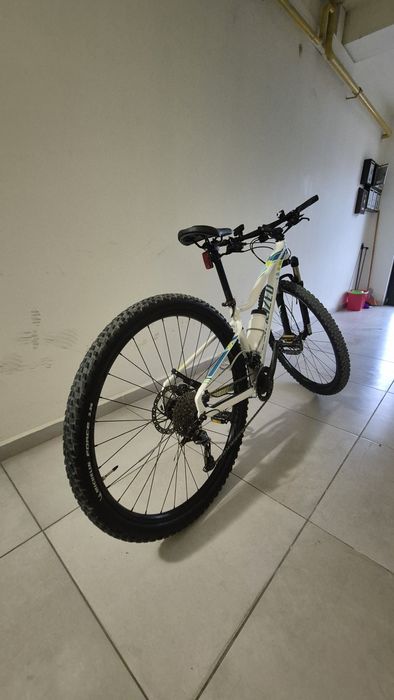 Bicicleta Specialized 29