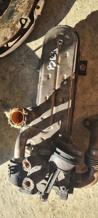 Racitor gaze,fulie,egr ,BKD